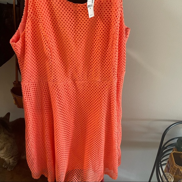 Orange Dress by Coquette et Coquine - Picture 2 of 3